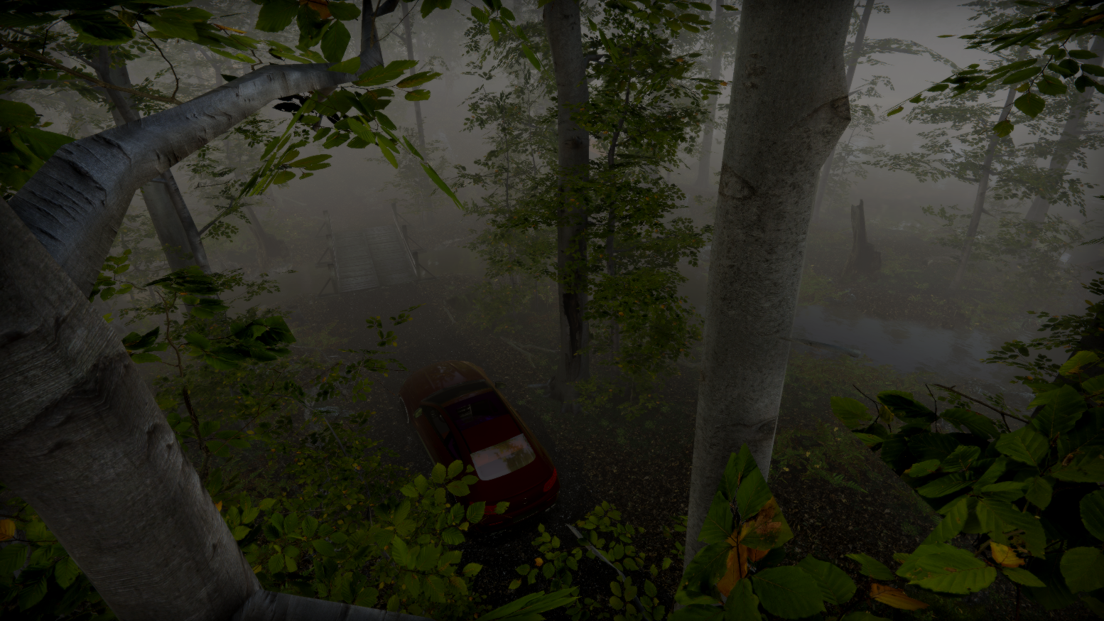 Car in the woods